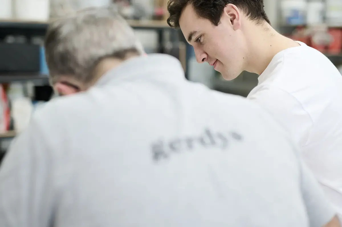 Gerdys