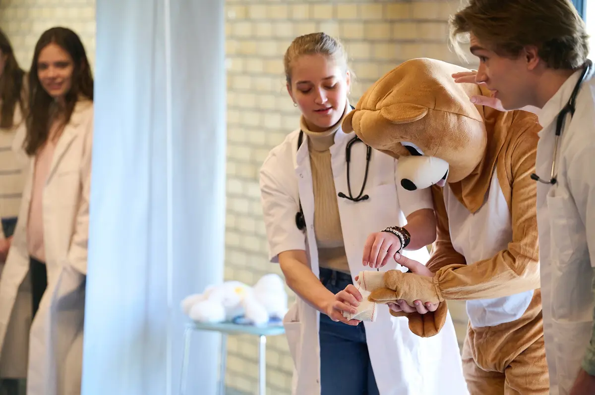 Kulak teddybearhospital