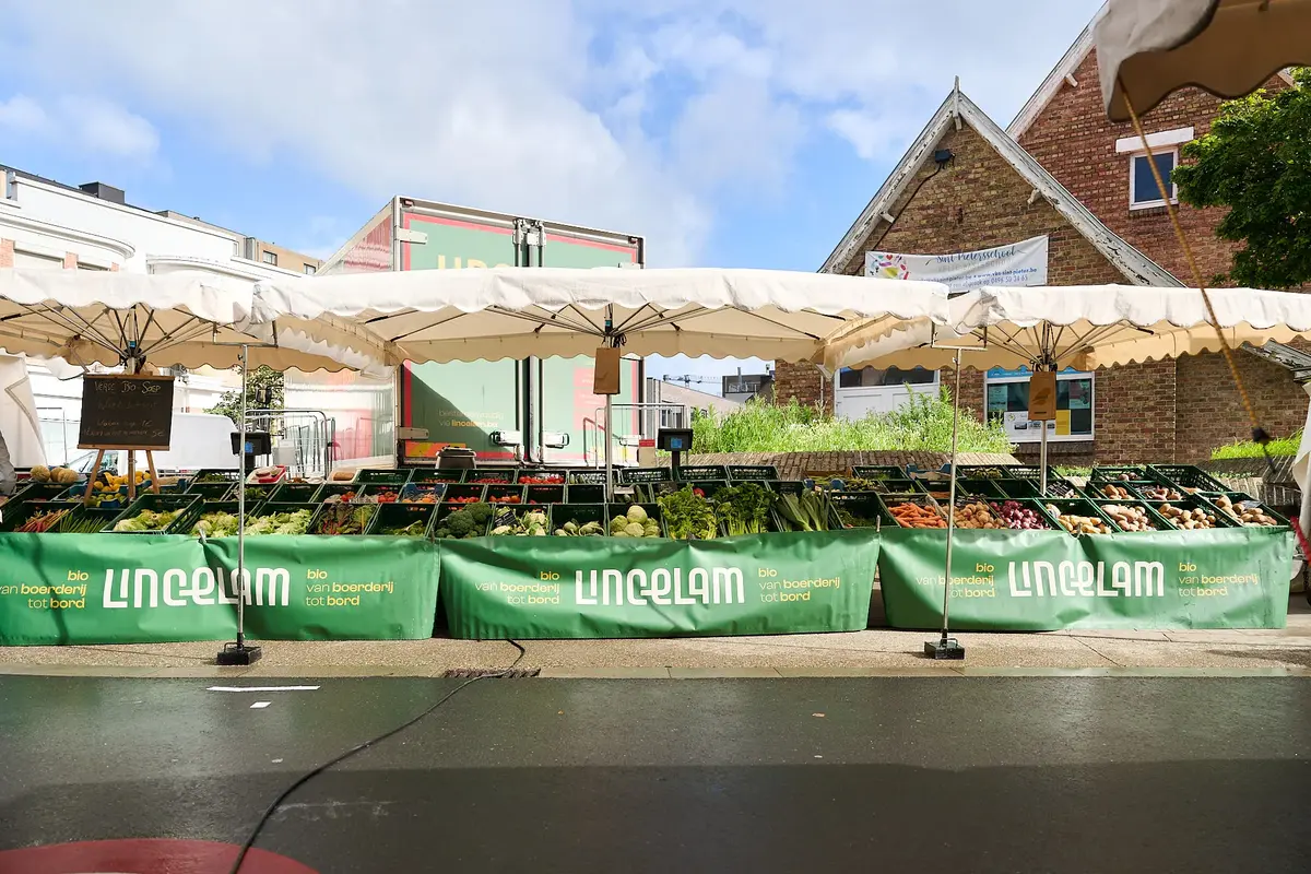 Lincelam