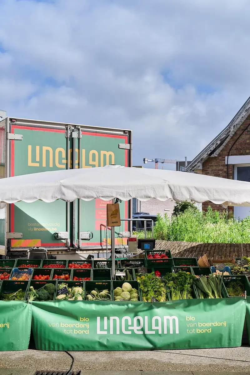 Lincelam