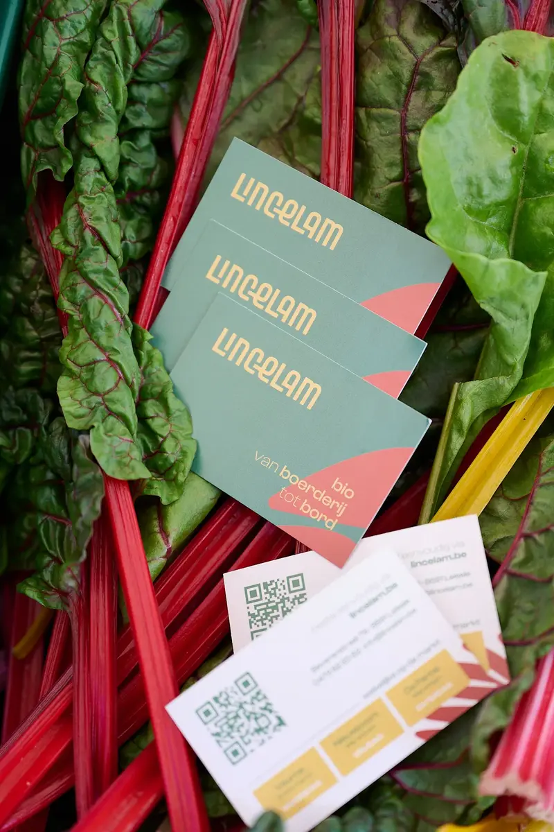Lincelam