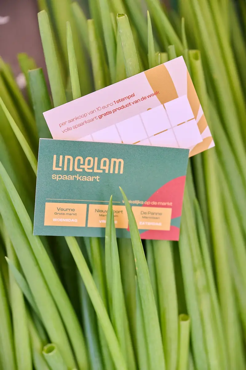 Lincelam