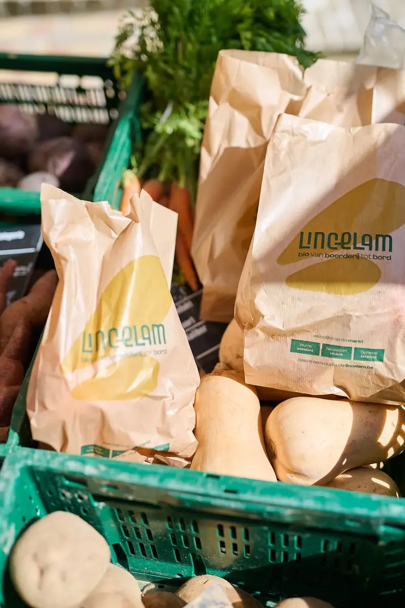 Lincelam