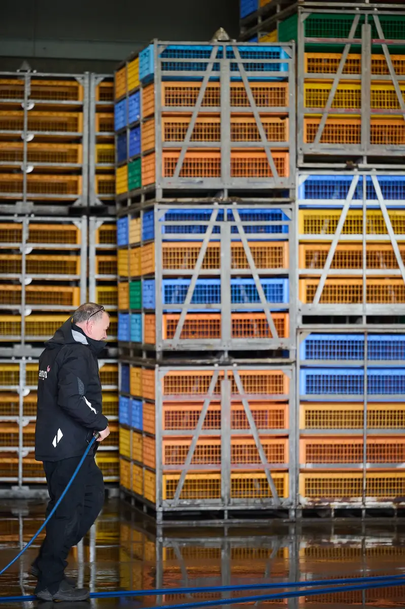 Pluimveehandel Samyn