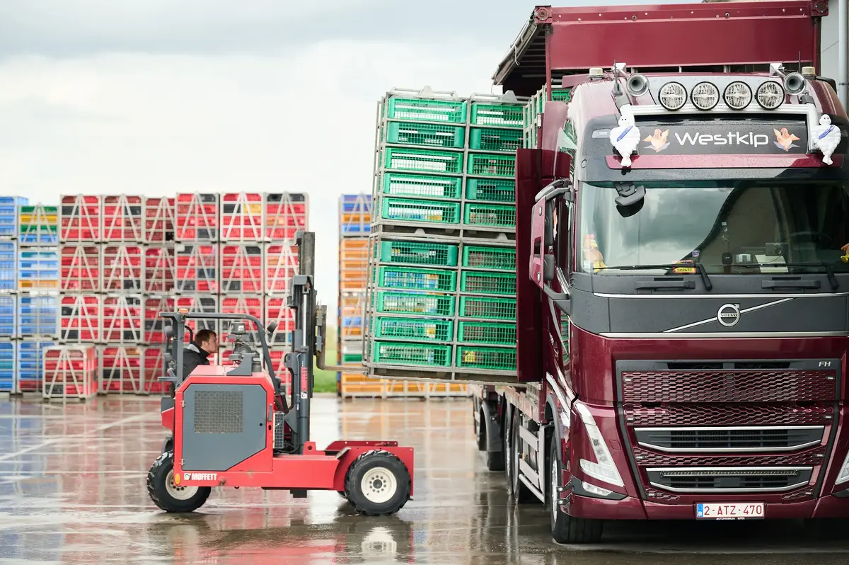Pluimveehandel Samyn