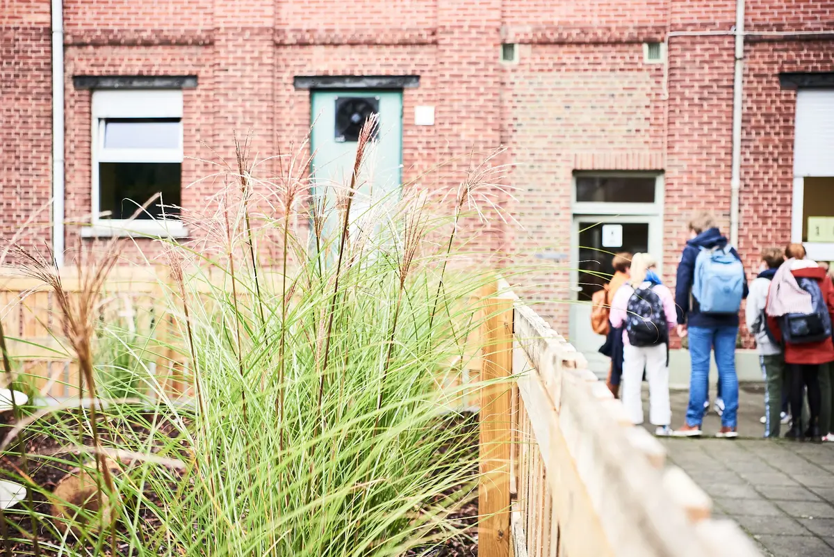 Rhizo Scholengemeenschap beeldbank