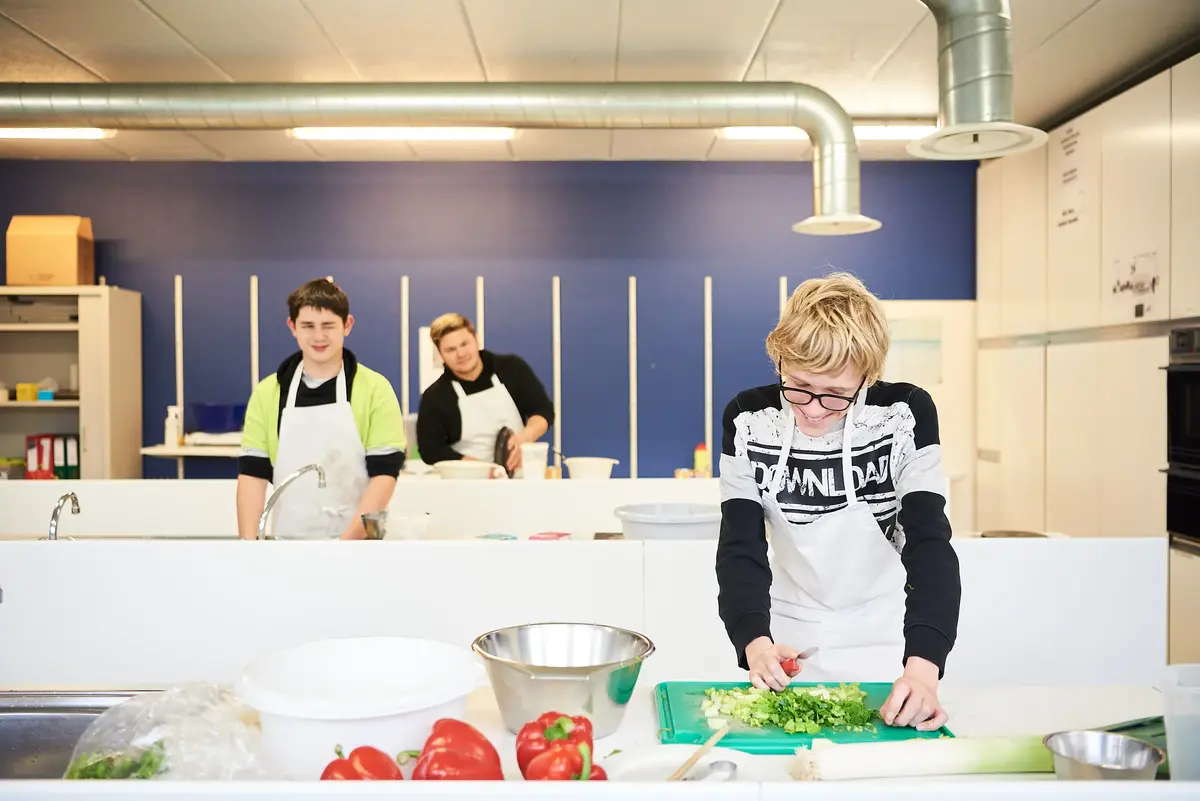 Rhizo Scholengemeenschap beeldbank