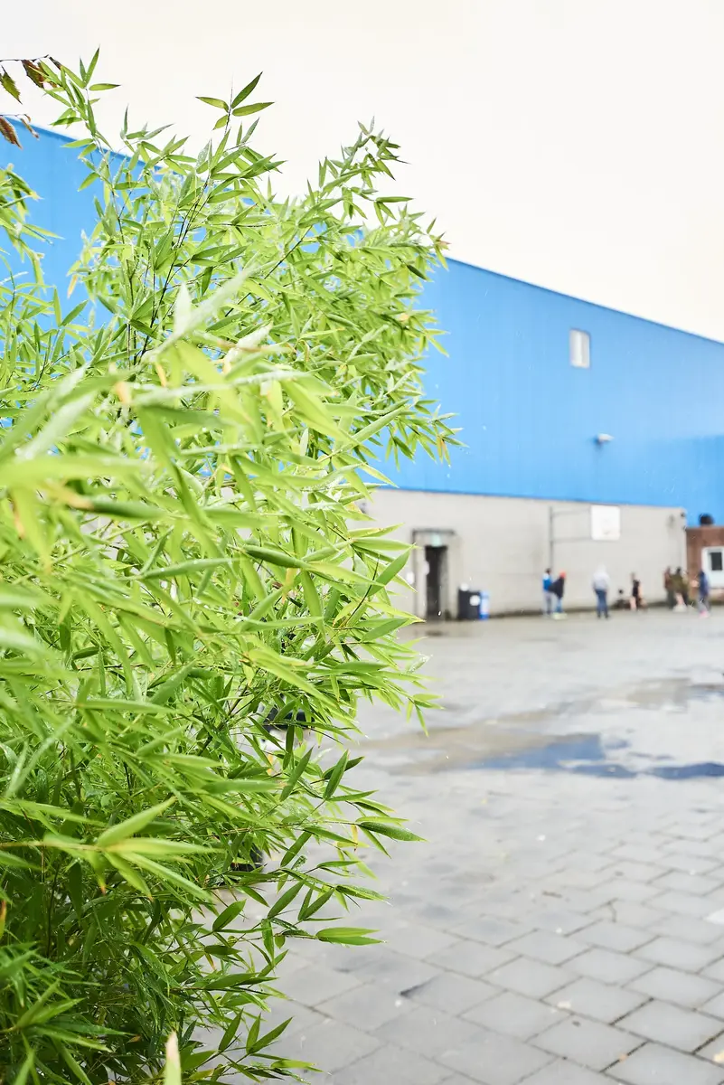 Rhizo Scholengemeenschap beeldbank