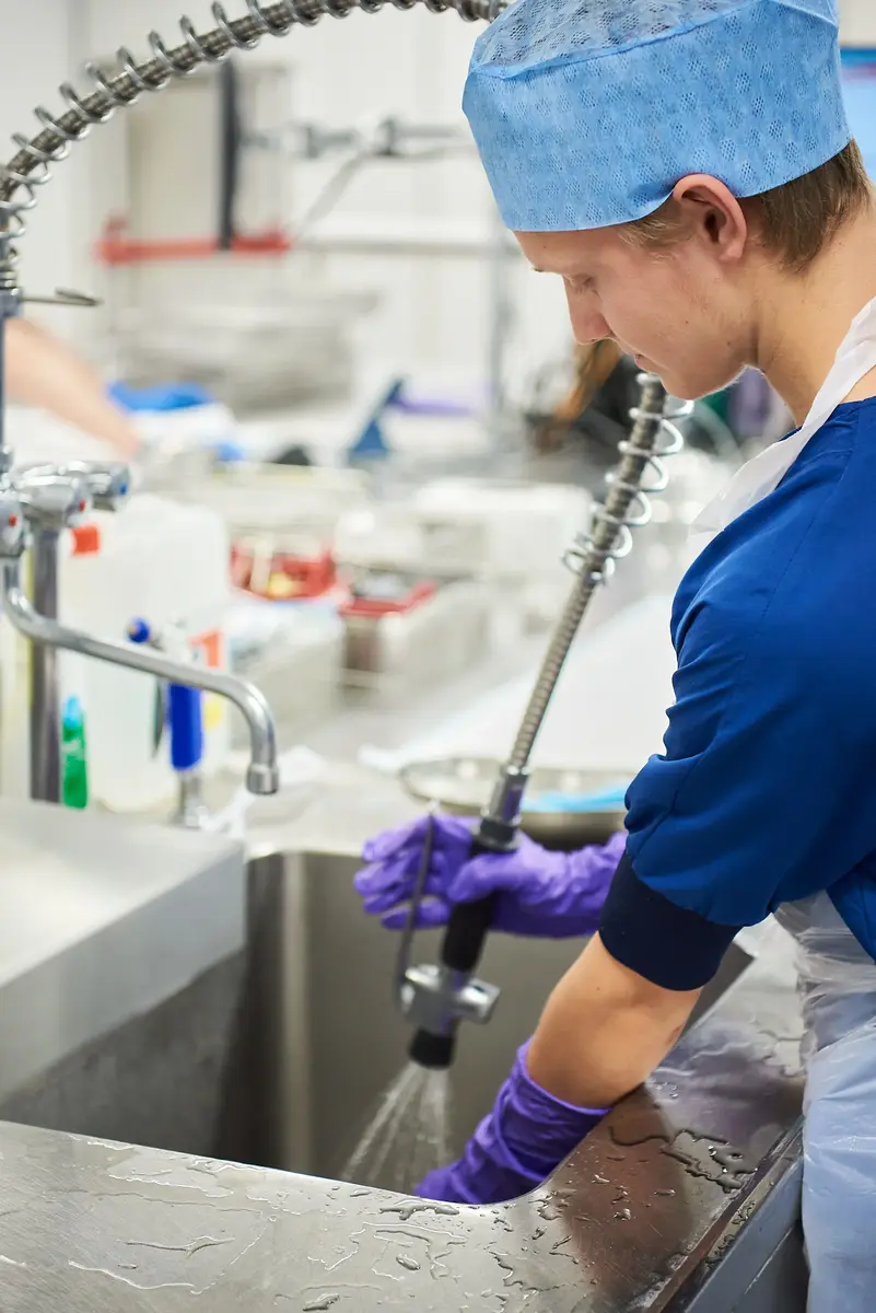 Rhizo Scholengemeenschap beeldbank