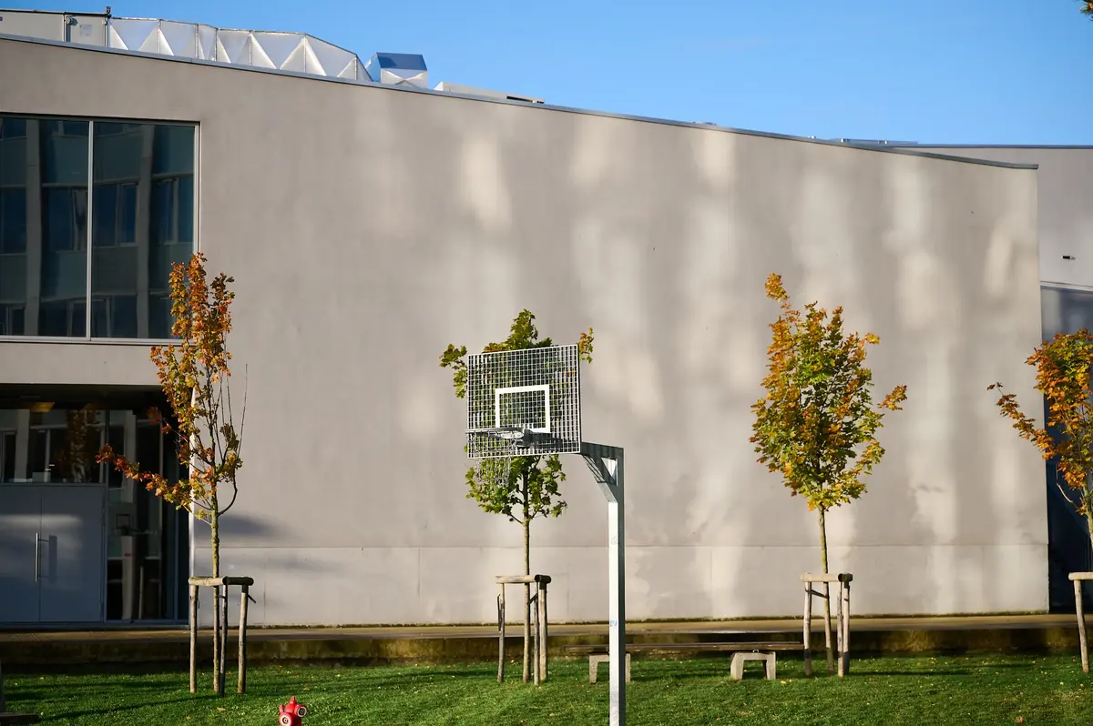 Rhizo Scholengemeenschap beeldbank