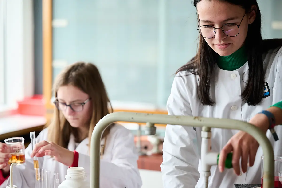 Rhizo Scholengemeenschap beeldbank