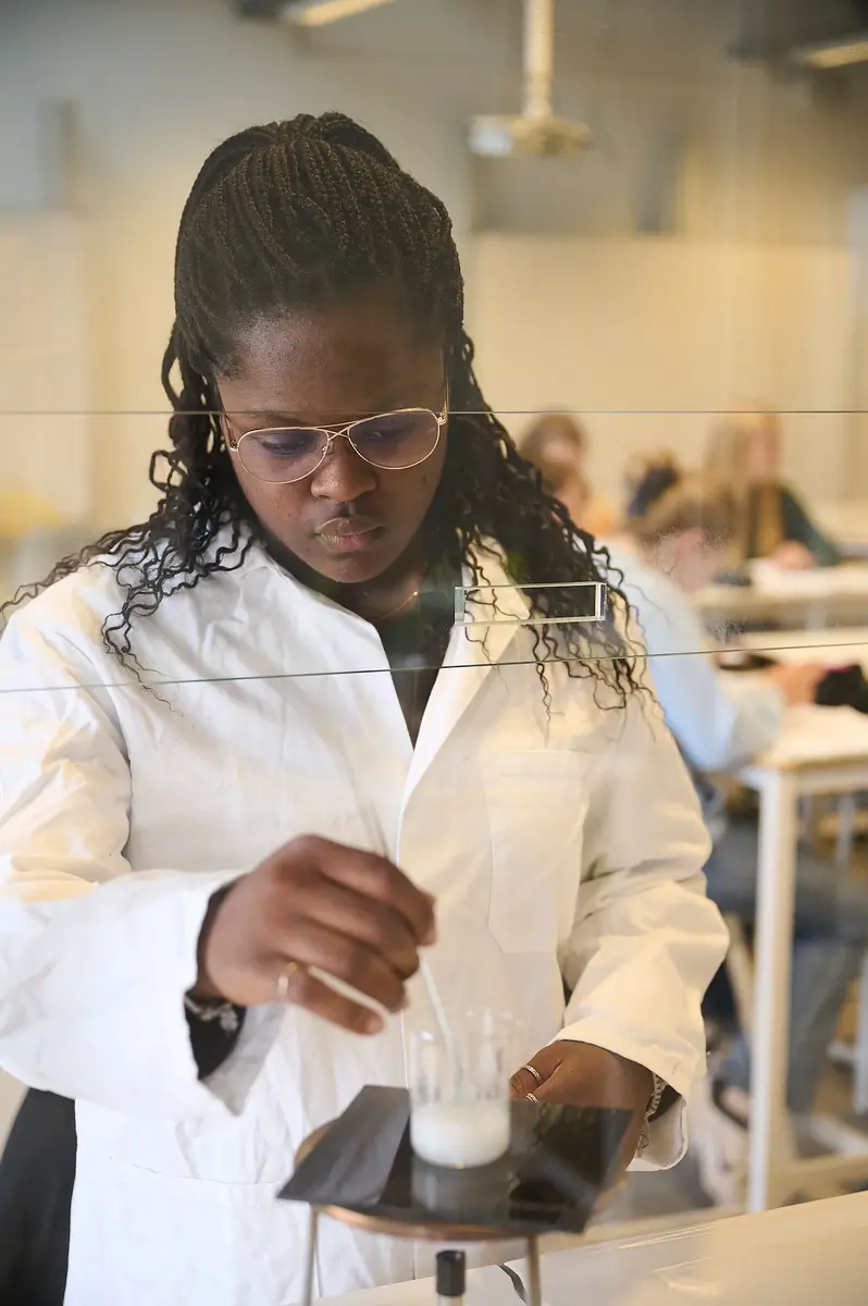 Rhizo Scholengemeenschap beeldbank