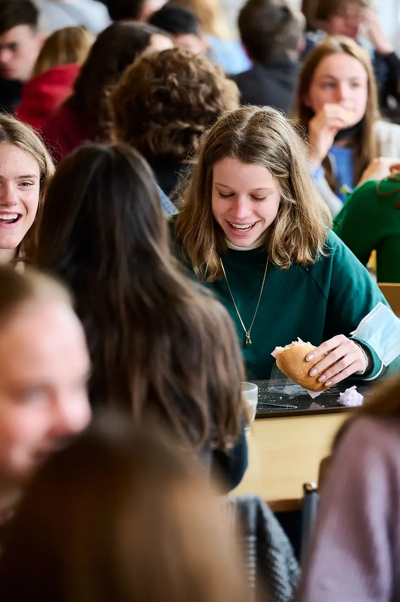 Rhizo Scholengemeenschap beeldbank