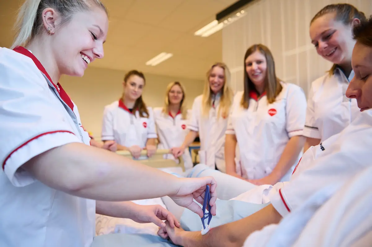 Rhizo Scholengemeenschap beeldbank