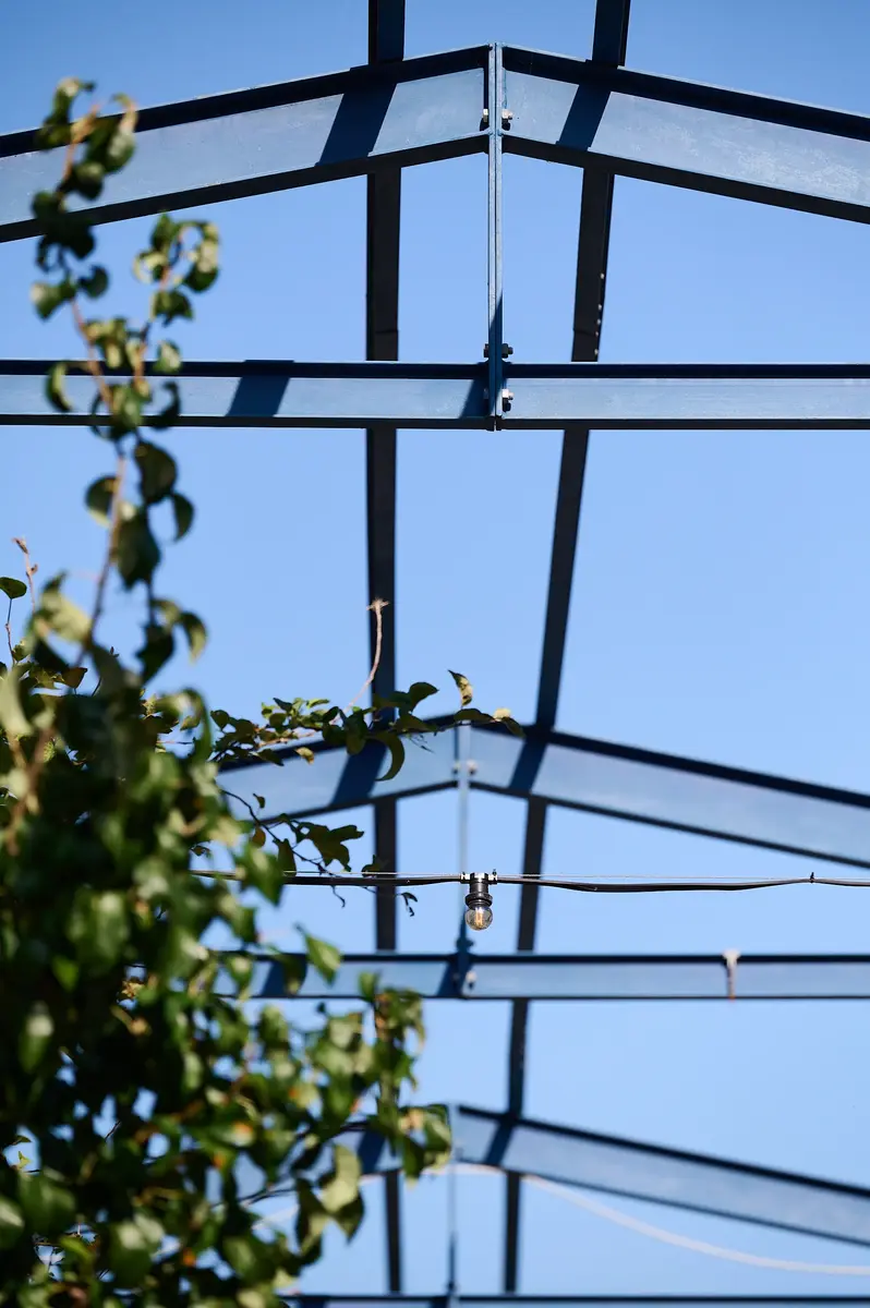 Rhizo Scholengemeenschap beeldbank