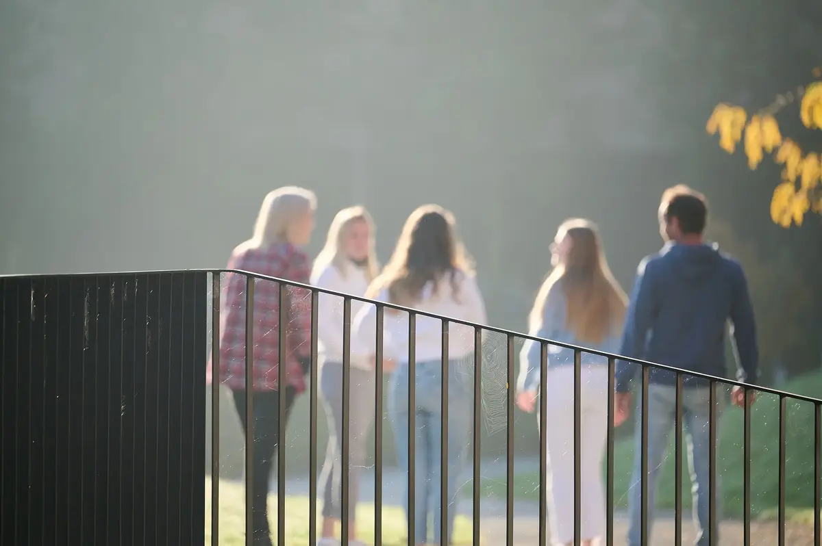 Rhizo Scholengemeenschap beeldbank