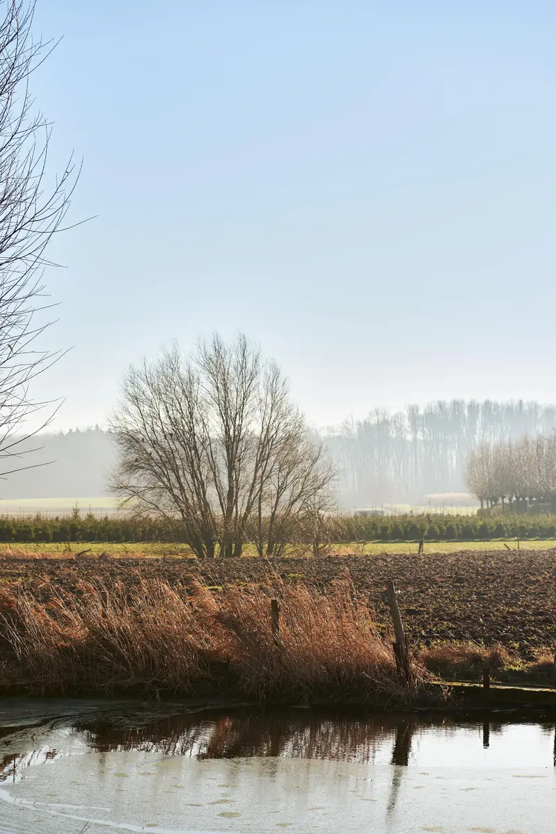 Vakantiehoeve Lisanne